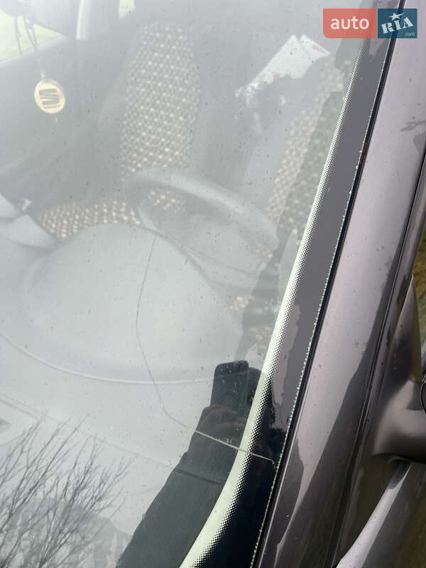 Хэтчбек SEAT Ibiza 2009 в Ярмолинцах