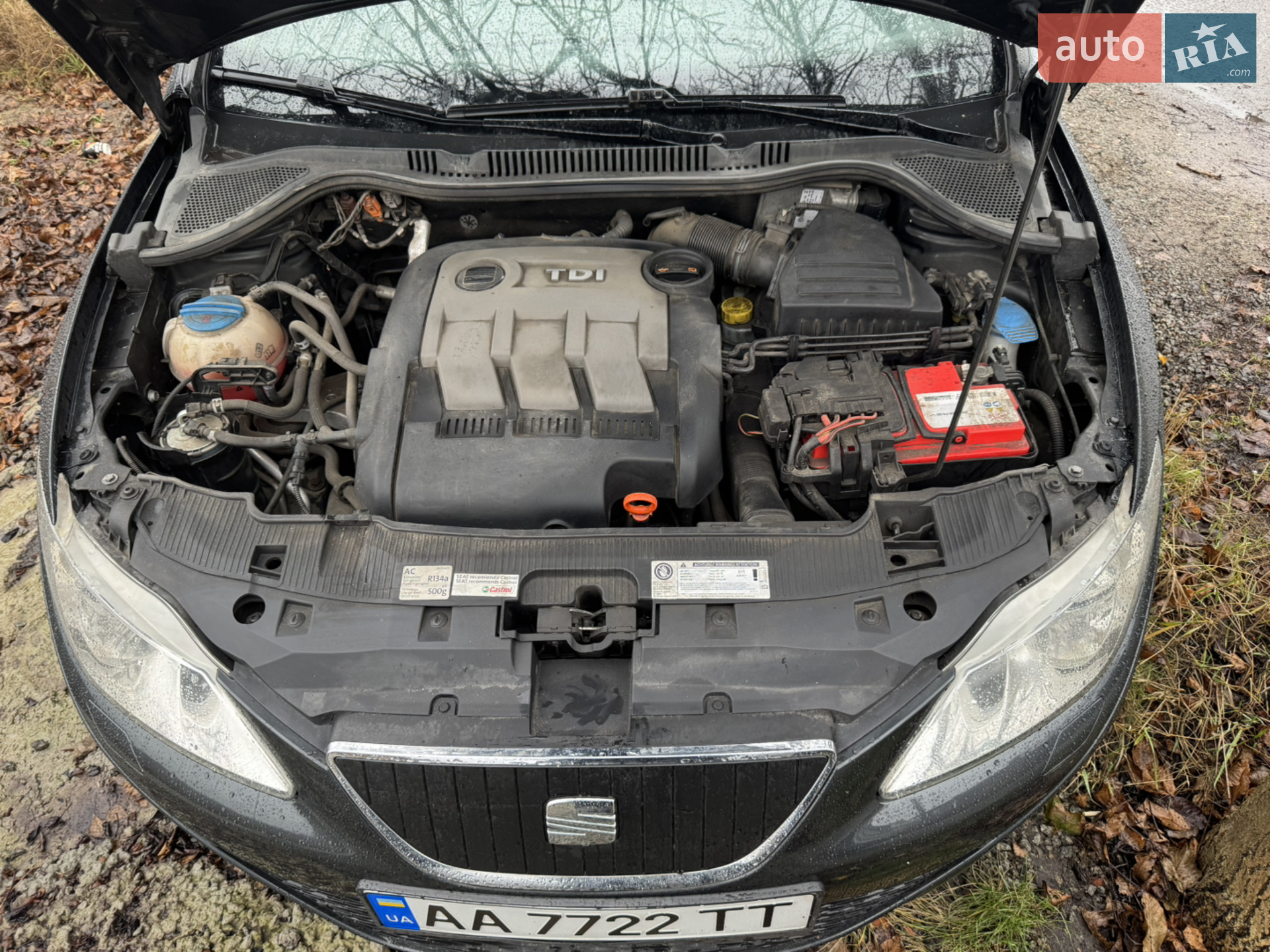 2011 SEAT Ibiza - мініатюра 5