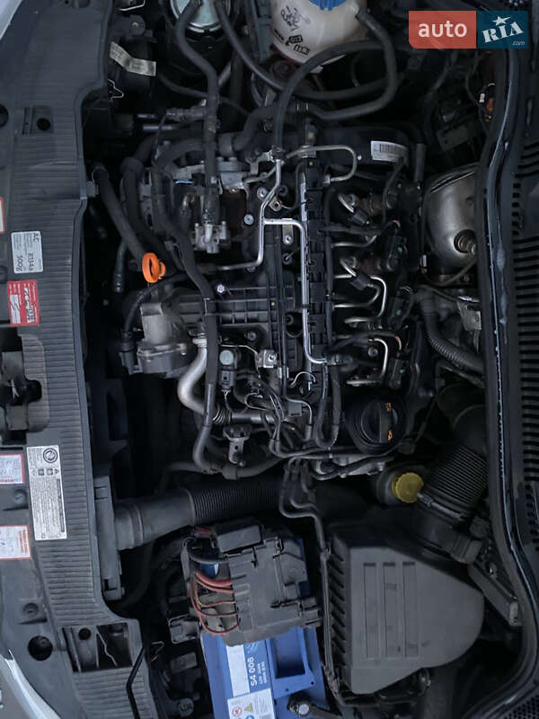 Універсал SEAT Ibiza 2011 в Ковелі