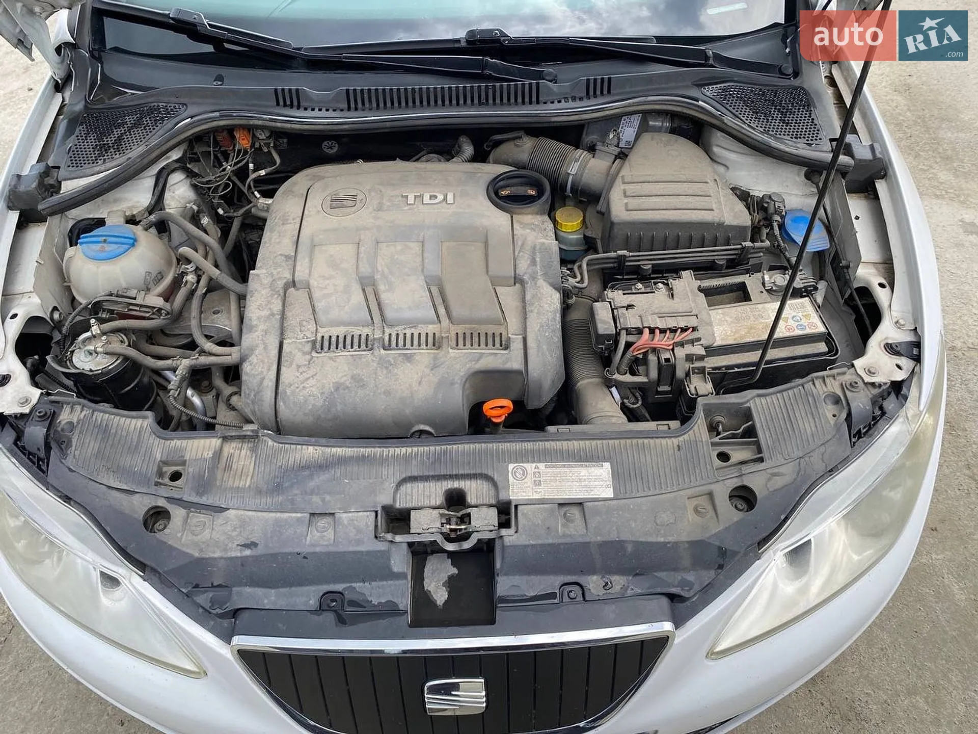 2010 SEAT Ibiza - мініатюра 8