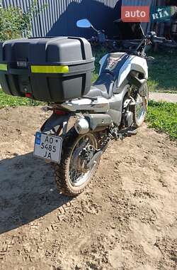 Мотоцикл Кросс Shineray 200 2020 в 