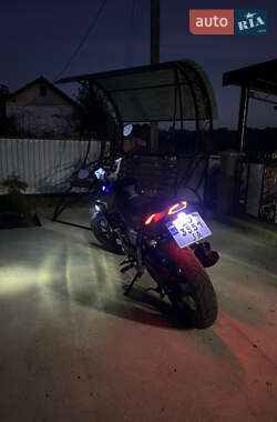 Мотоцикл Без обтекателей (Naked bike) Shineray Nitrox 300 2025 в 