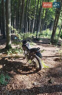 Грузовые мотороллеры, мотоциклы, скутеры, мопеды Shineray X-Trail 200 2019 в 