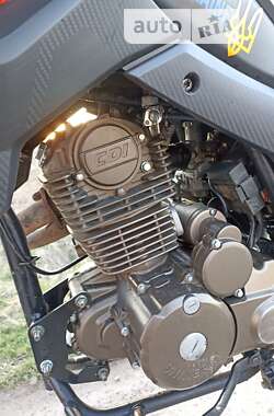 Мотоцикл Многоцелевой (All-round) Shineray X-Trail 250 Trophy 2020 в Млинове