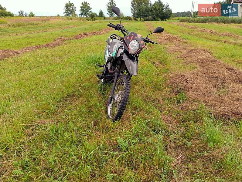 Вантажні моторолери, мотоцикли, скутери, мопеди Shineray XY 200GY-6C 2019 в Бартатові