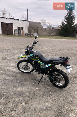 Мотоцикл Внедорожный (Enduro) Shineray XY 250GY-6C Light 2023 в 