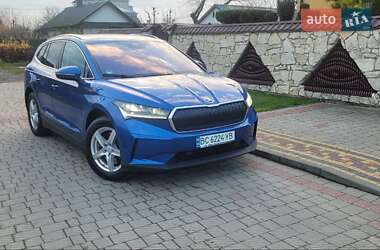 Внедорожник / Кроссовер Skoda Enyaq iV 2023 в Львове