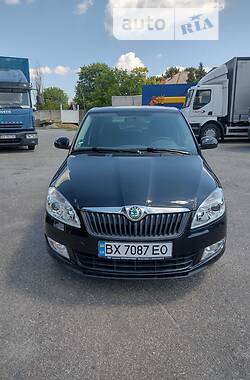 Хэтчбек Skoda Fabia 2010 в Хмельницком