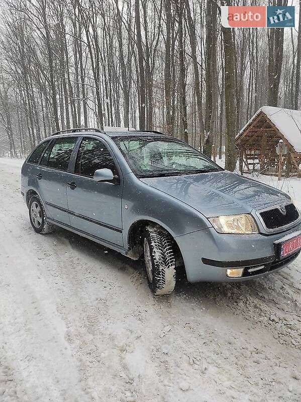 Універсал Skoda Fabia 2003 в Пустомитах