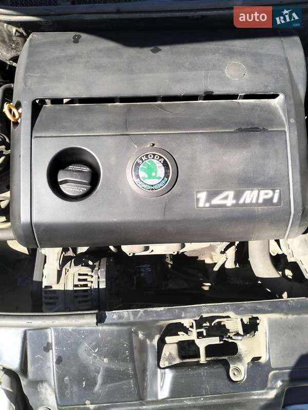 Хетчбек Skoda Fabia 2001 в Кривому Розі