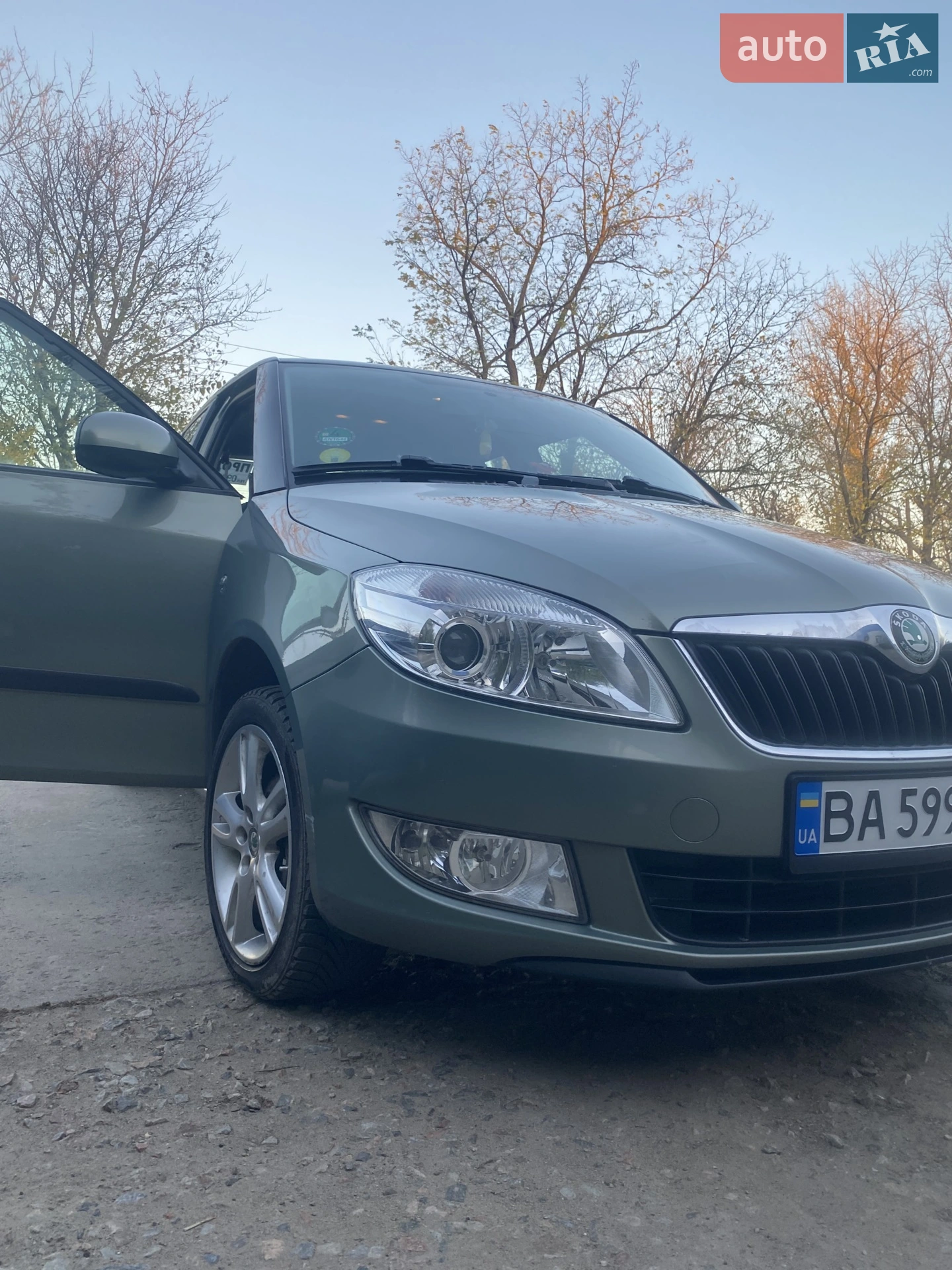 2010 Skoda Fabia - фото 1