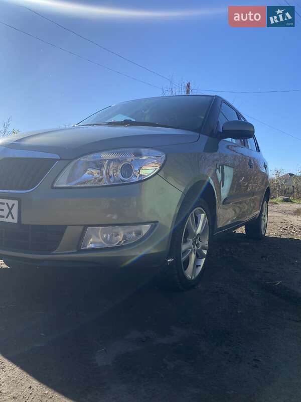 Хэтчбек Skoda Fabia 2010 в Кривом Озере
