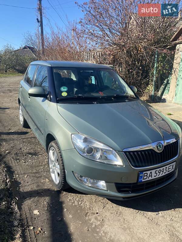 Хэтчбек Skoda Fabia 2010 в Кривом Озере