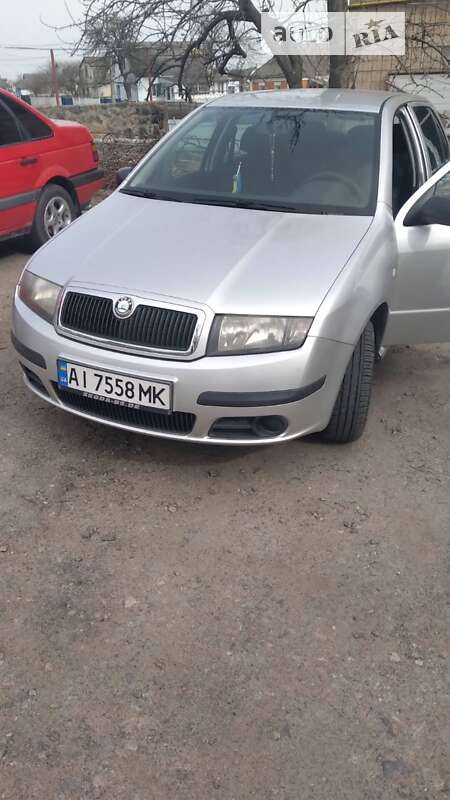 Хетчбек Skoda Fabia 2007 в Тетієві