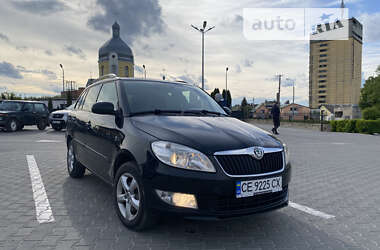 Универсал Skoda Fabia 2010 в Кременце