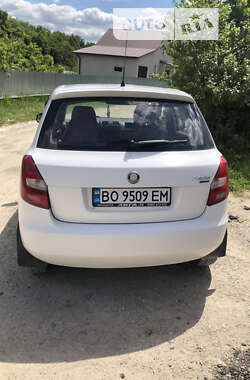 Хэтчбек Skoda Fabia 2010 в Тернополе