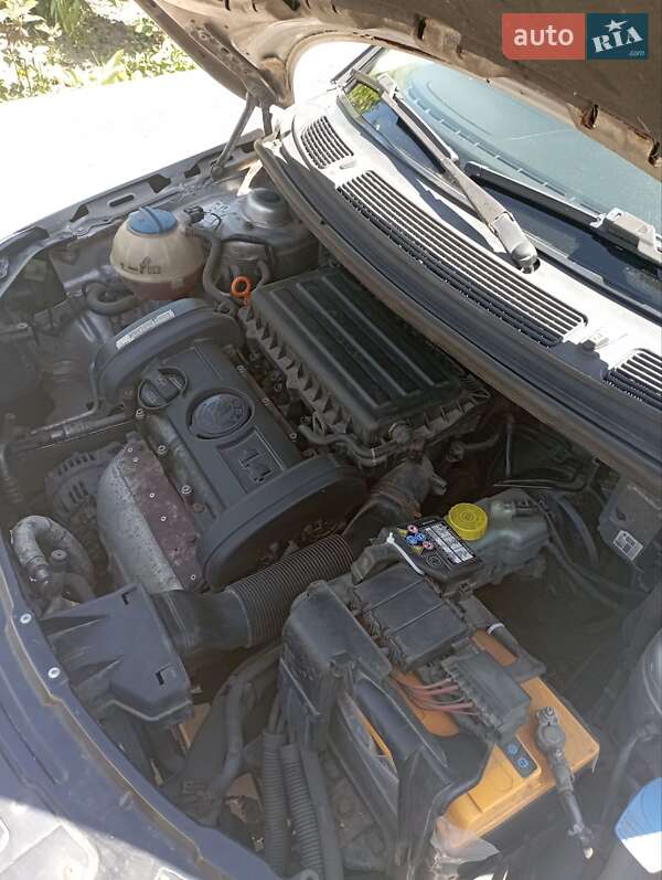 Хетчбек Skoda Fabia 2008 в Богуславі