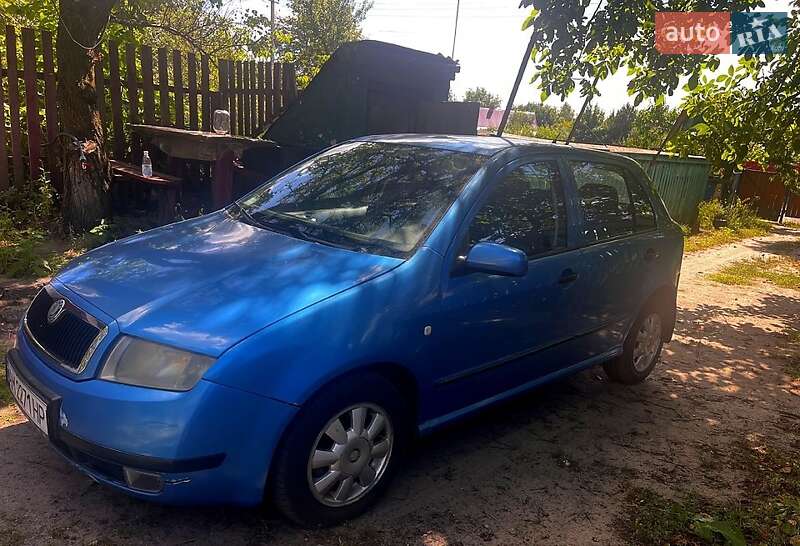 Хэтчбек Skoda Fabia 2000 в Радомышле