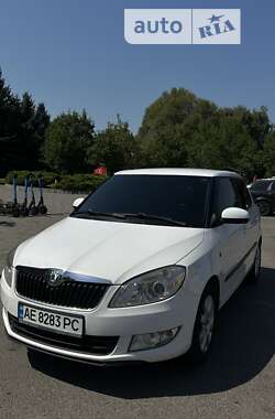 Хэтчбек Skoda Fabia 2010 в Днепре