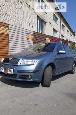 Універсал Skoda Fabia 2007 в Звягелі