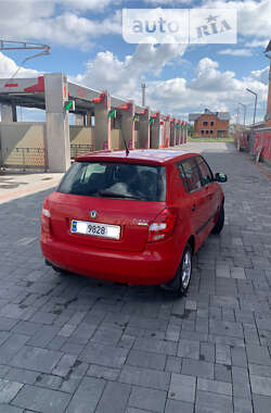 Хетчбек Skoda Fabia 2009 в Хусті