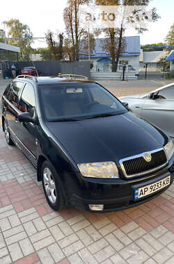 Универсал Skoda Fabia 2002 в Запорожье