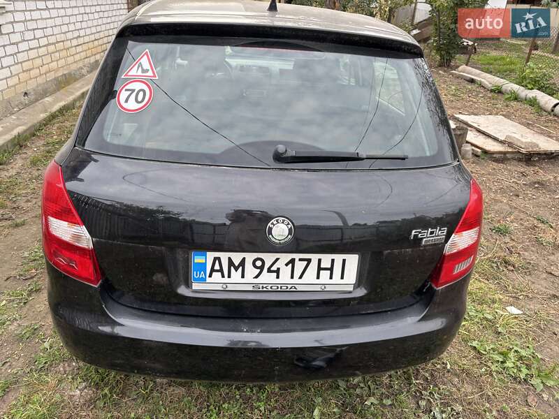 Хэтчбек Skoda Fabia 2009 в Житомире
