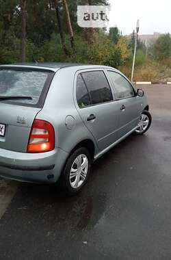 Хэтчбек Skoda Fabia 2002 в Житомире