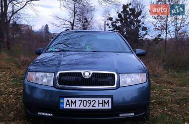 Універсал Skoda Fabia 2003 в Звягелі