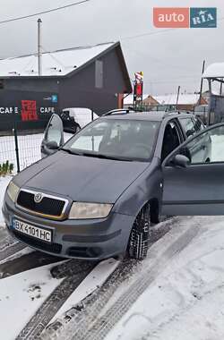 Универсал Skoda Fabia 2005 в Шепетовке