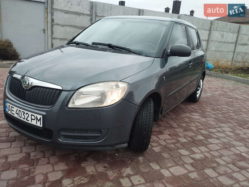 Хэтчбек Skoda Fabia 2009 в Днепре