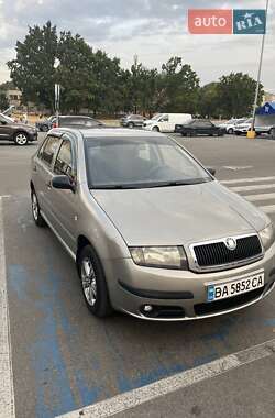 Хетчбек Skoda Fabia 2006 в Кропивницькому