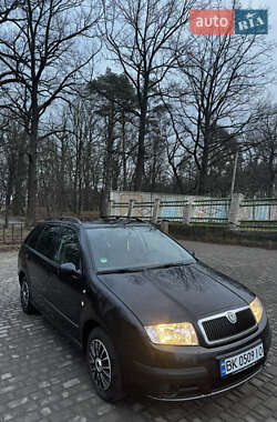 Универсал Skoda Fabia 2005 в Владимирце