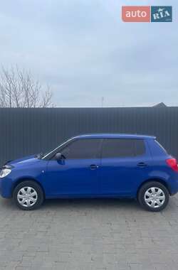 Хэтчбек Skoda Fabia 2009 в Вознесенске