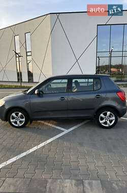 Хетчбек Skoda Fabia 2009 в 