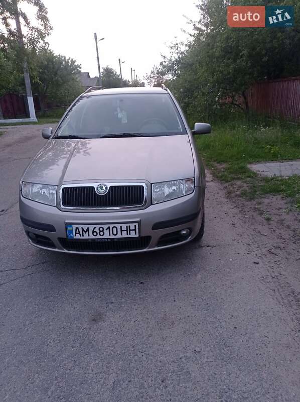 Хетчбек Skoda Fabia 2007 в Брусилові