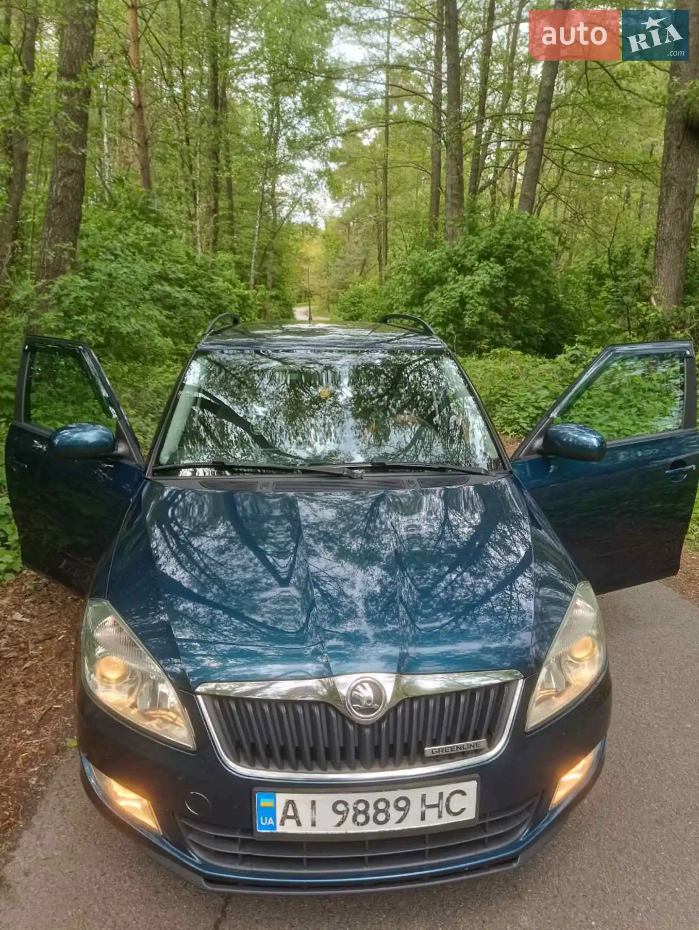 2013 Skoda Fabia - мініатюра 12