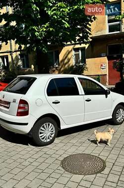 Хетчбек Skoda Fabia 2007 в Львові