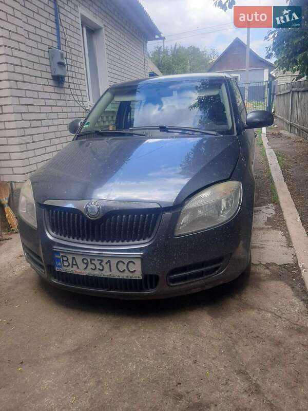 Хетчбек Skoda Fabia 2010 в Гайвороні