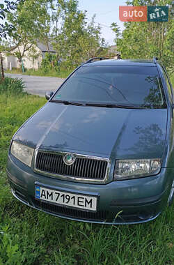 Універсал Skoda Fabia 2005 в Звягелі