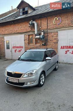 Универсал Skoda Fabia 2011 в Андрушевке