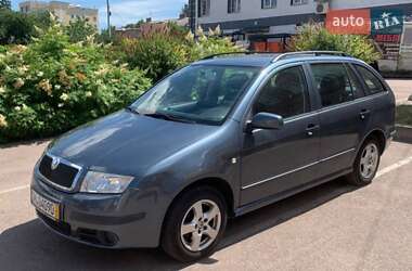Универсал Skoda Fabia 2005 в Бердичеве
