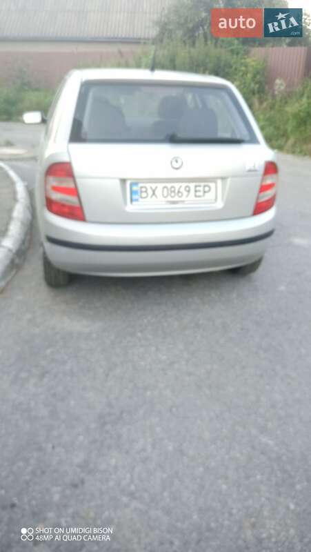 Хэтчбек Skoda Fabia 2005 в Полонном