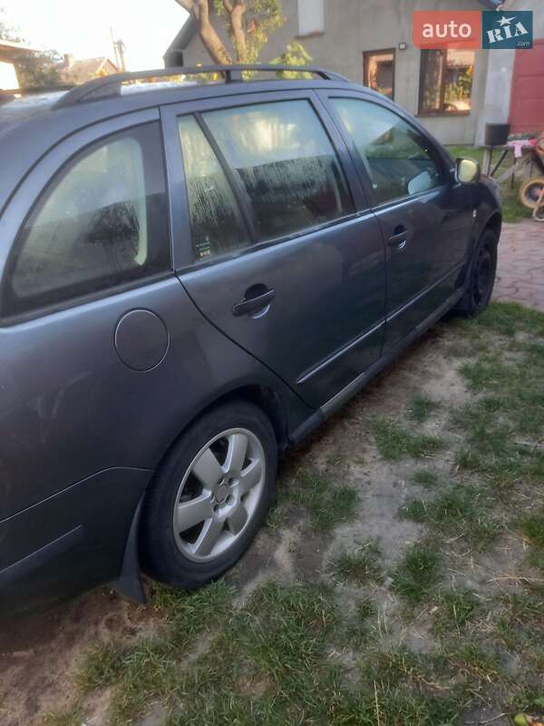 Универсал Skoda Fabia 2004 в Маневичах