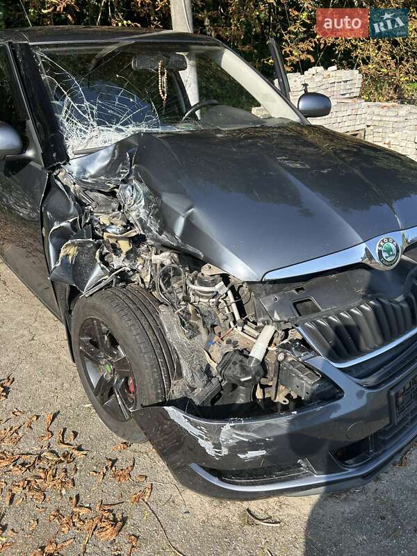 Хэтчбек Skoda Fabia 2010 в Житомире