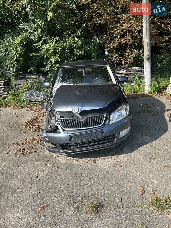 Хэтчбек Skoda Fabia 2010 в Житомире