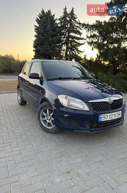 Хэтчбек Skoda Fabia 2012 в Новой Одессе