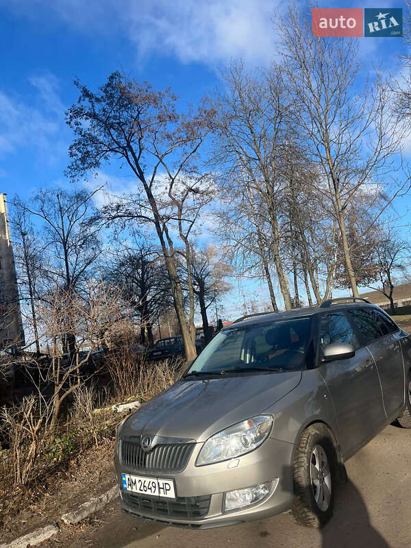 Хэтчбек Skoda Fabia 2014 в Житомире