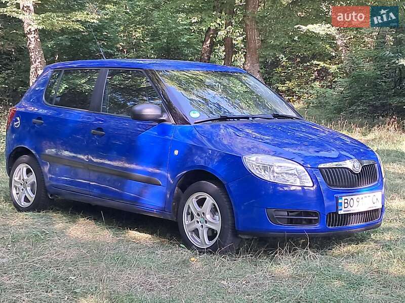 Хэтчбек Skoda Fabia 2008 в Борщеве