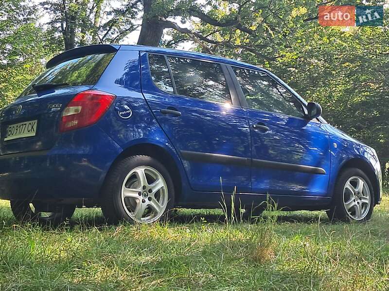 Хэтчбек Skoda Fabia 2008 в Борщеве